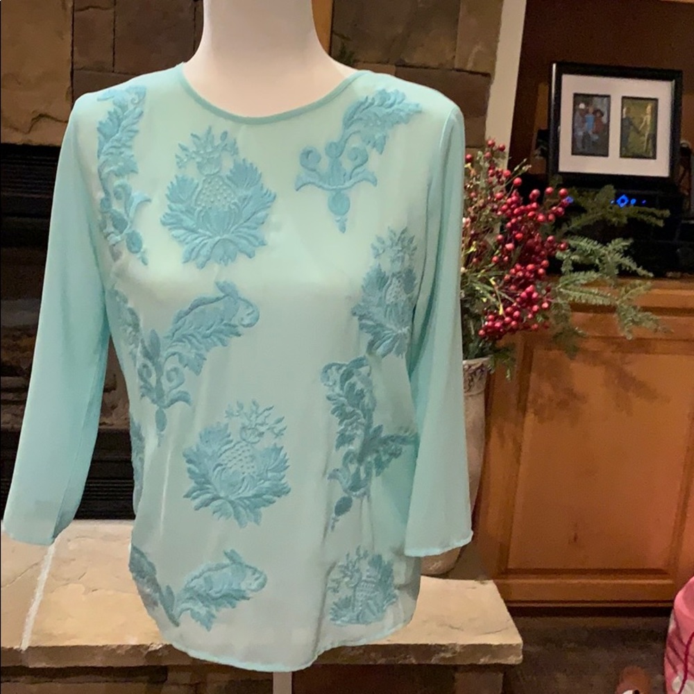 Aqua blue embroidered sheer blouse